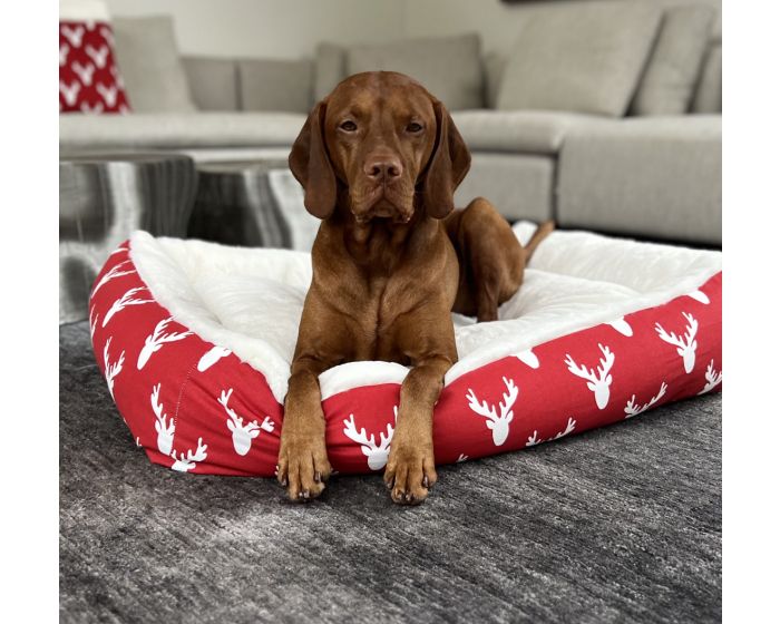 Alpine Lounger