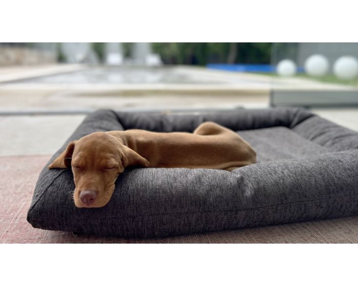 Hugo Futon Charcoal