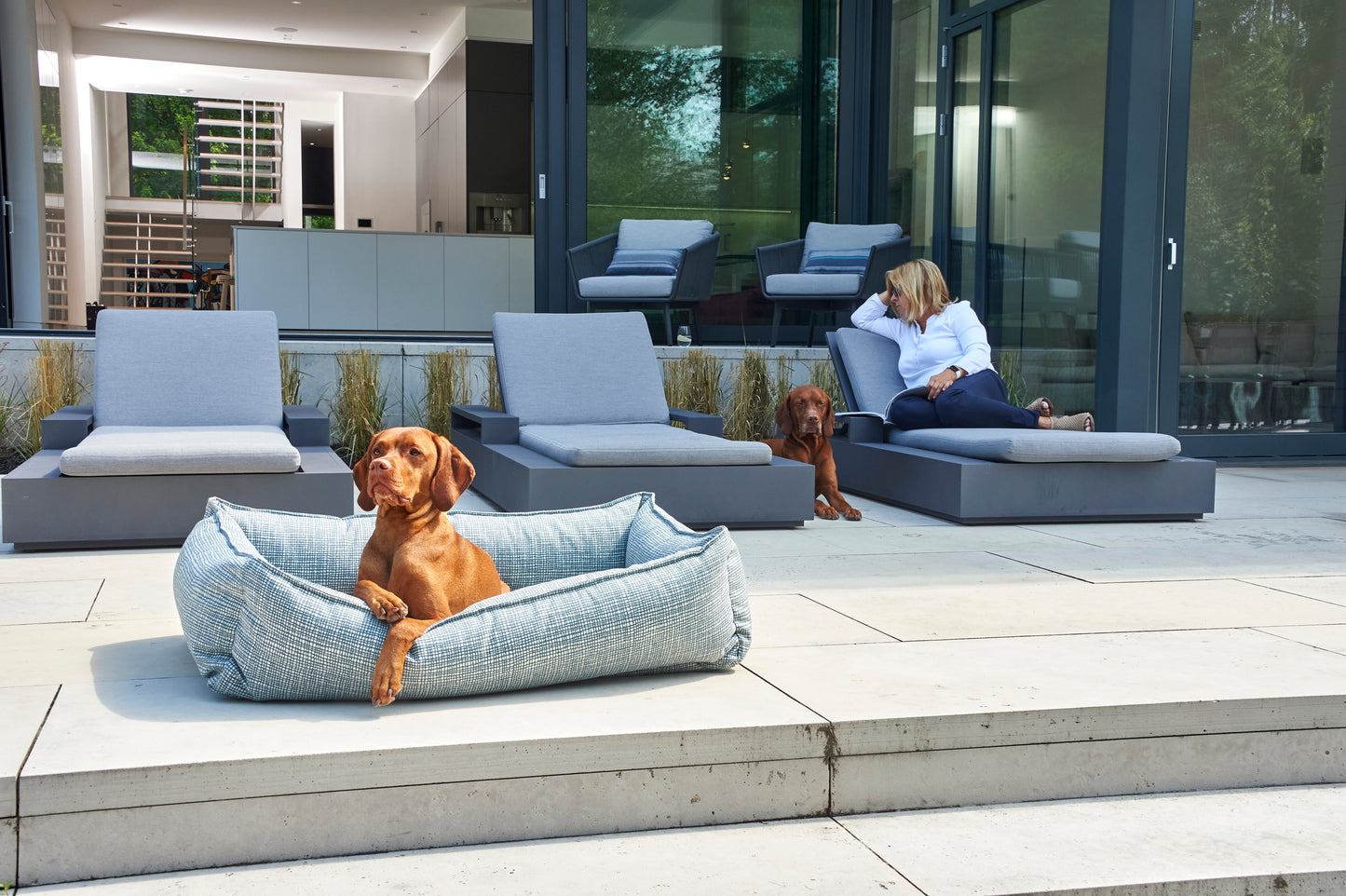 Urban Lounger Wrangler