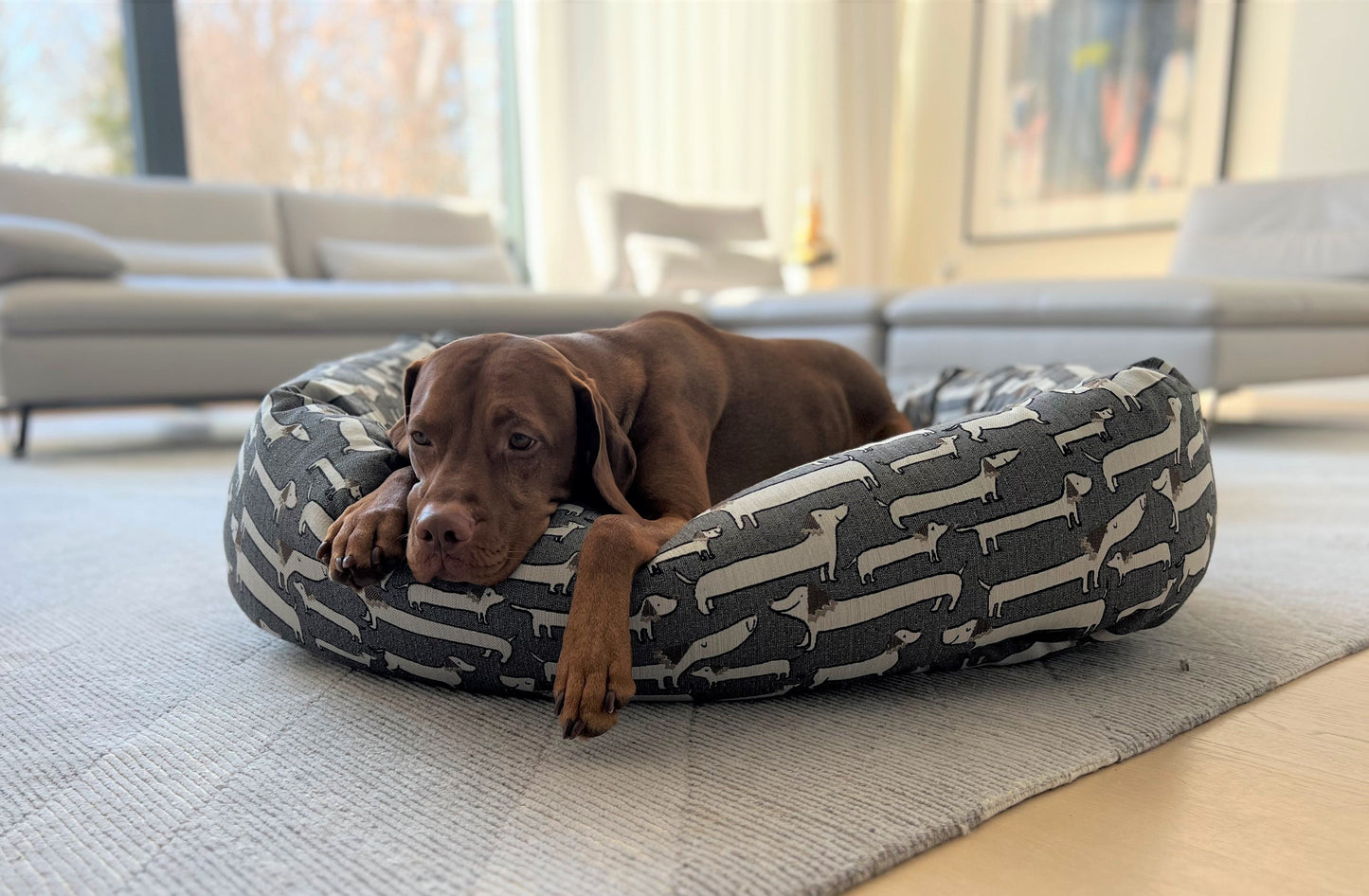 Donut Bed - test
