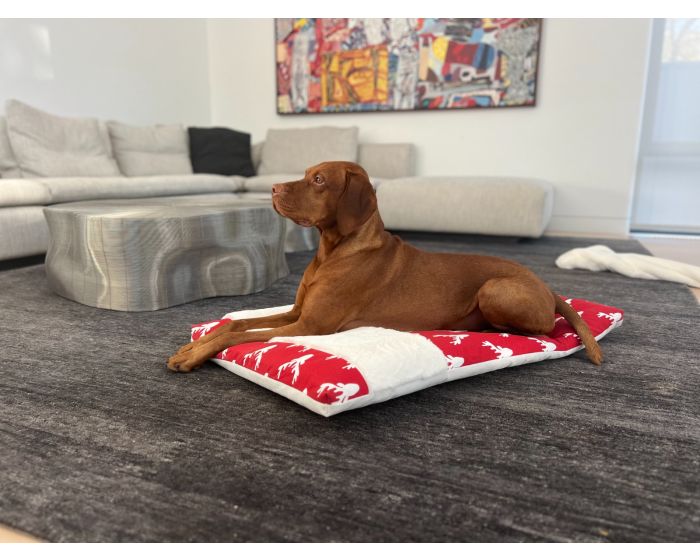 Alpine Mattress