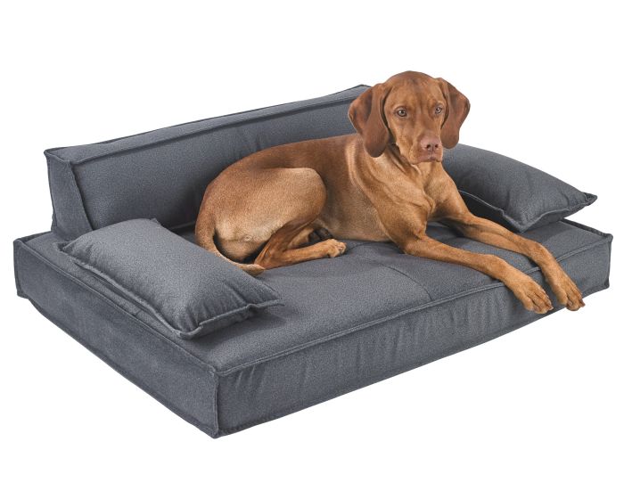 Scandinave Pet Sofa