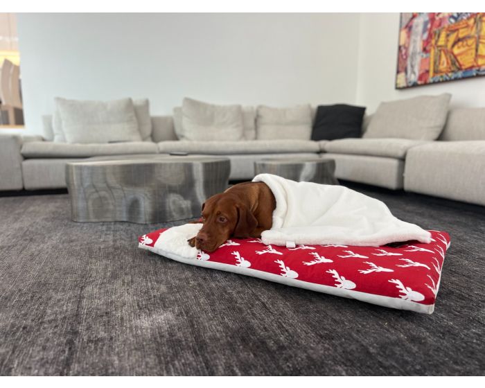 Alpine Mattress